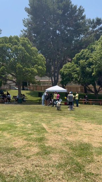 Outdoor yoga and meditation session at the 2024 Community Health Fair